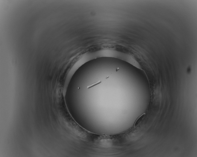 X0000089930228200707061046