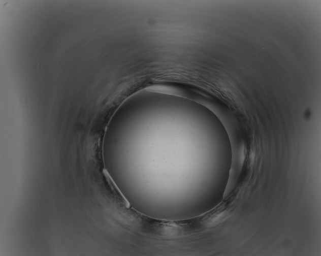 X0000089930229200707061046