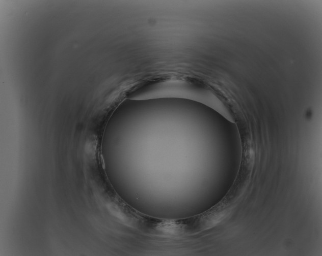 X0000089930231200707061046