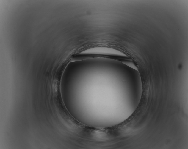 X0000089930232200707061046