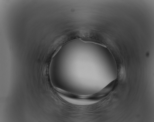 X0000089930233200707061046