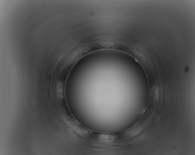 X0000089930234200707061046