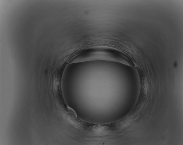 X0000089930235200707061046