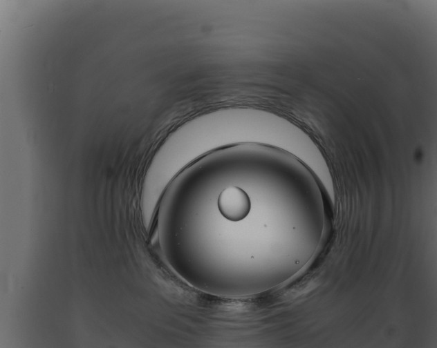 X0000089930237200707061046