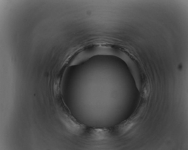 X0000089930239200707061046