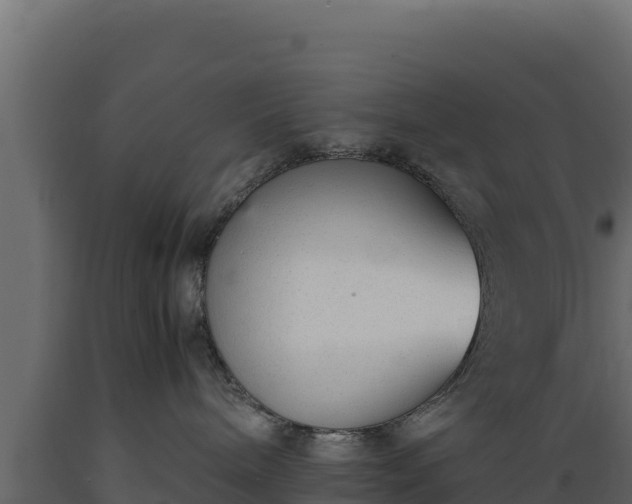 X0000089930240200707061046