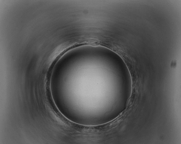 X0000089930242200707061045