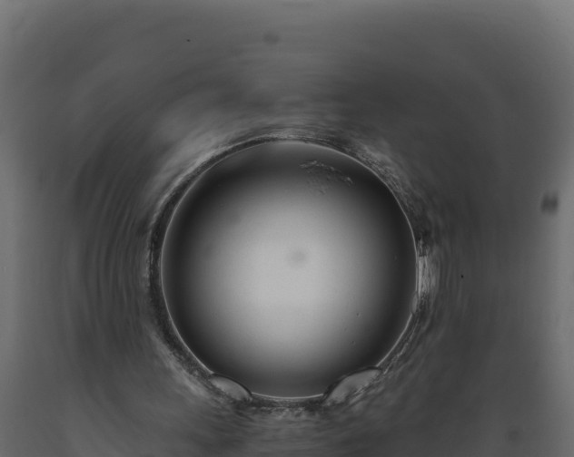 X0000089930243200707061045