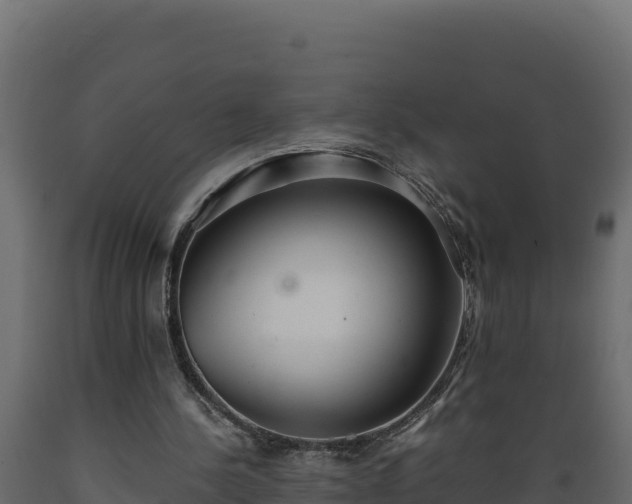 X0000089930244200707061045