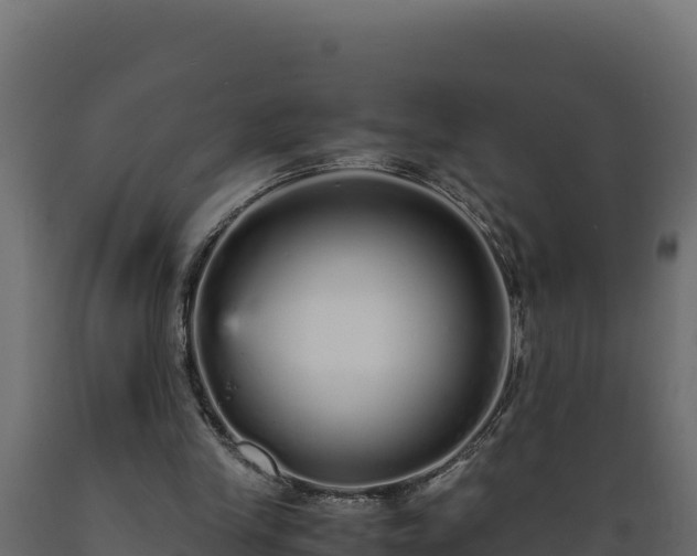 X0000089930245200707061045