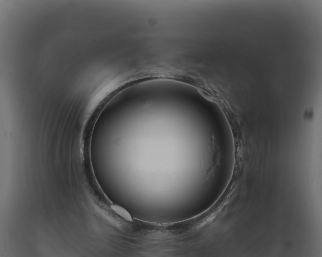 X0000089930246200707061045