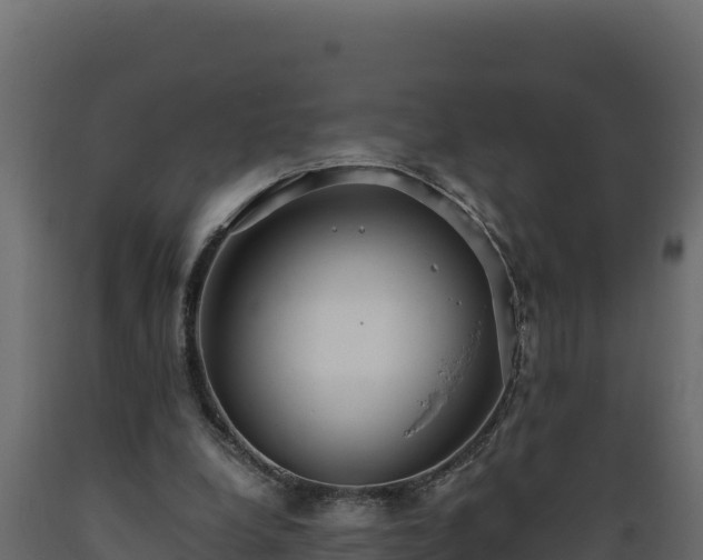 X0000089930248200707061045