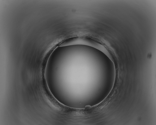 X0000089930250200707061045