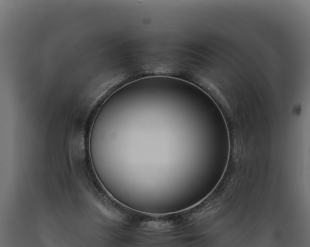 X0000089930251200707061045