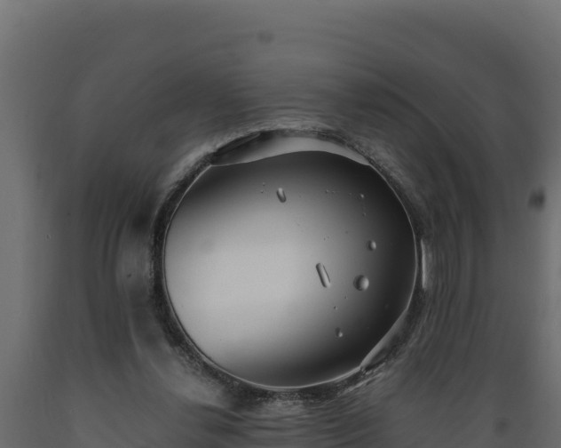 X0000089930252200707061045