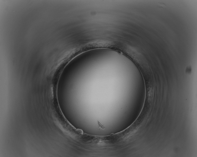 X0000089930254200707061045