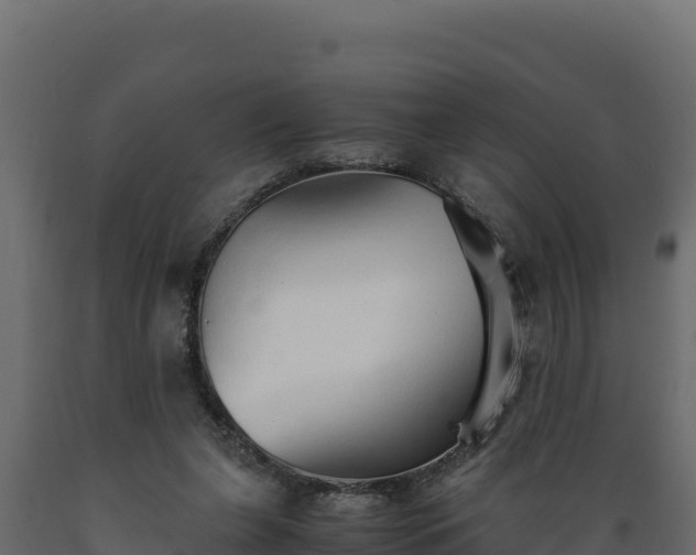 X0000089930255200707061045