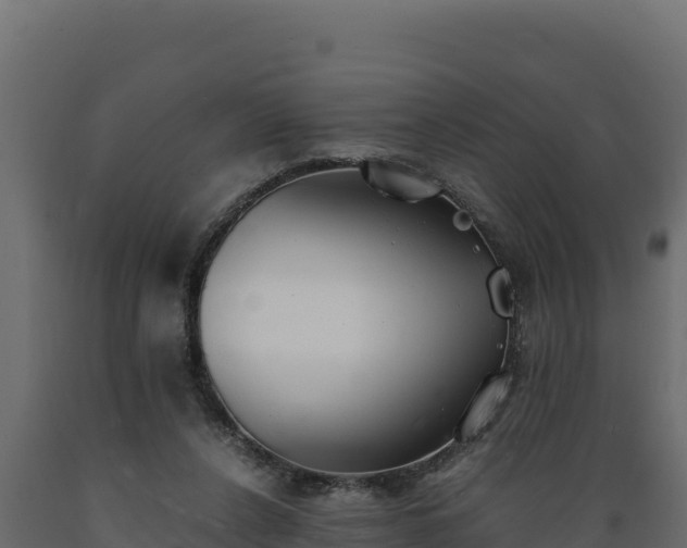 X0000089930256200707061045