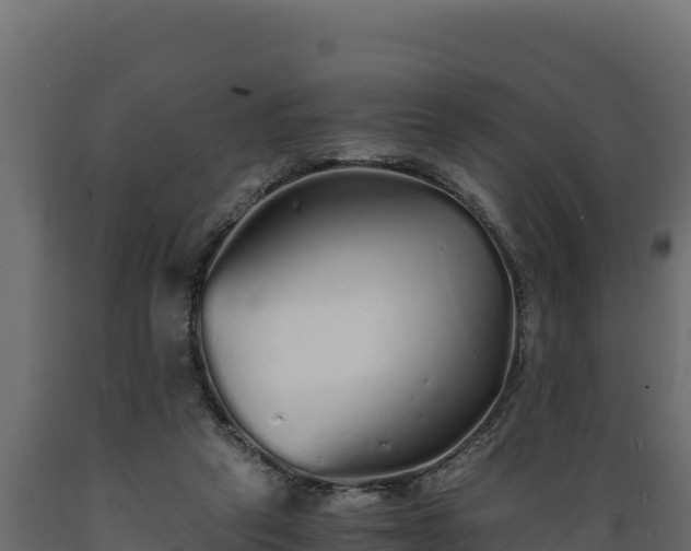 X0000089930257200707061045