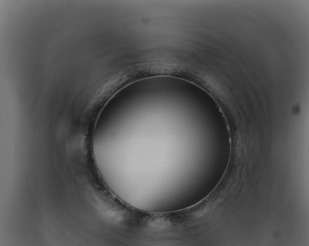 X0000089930258200707061045