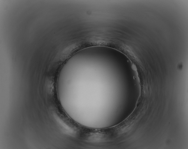 X0000089930259200707061045