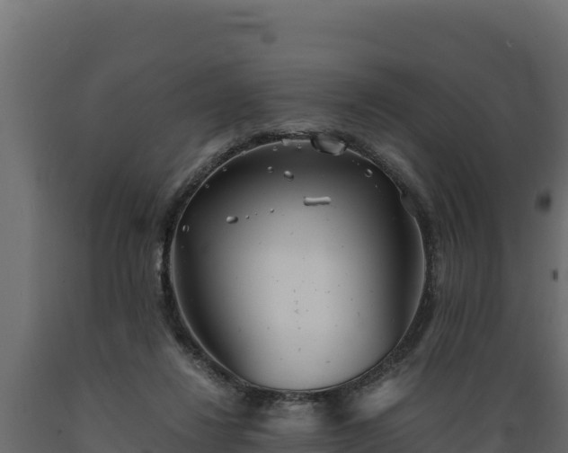 X0000089930260200707061045