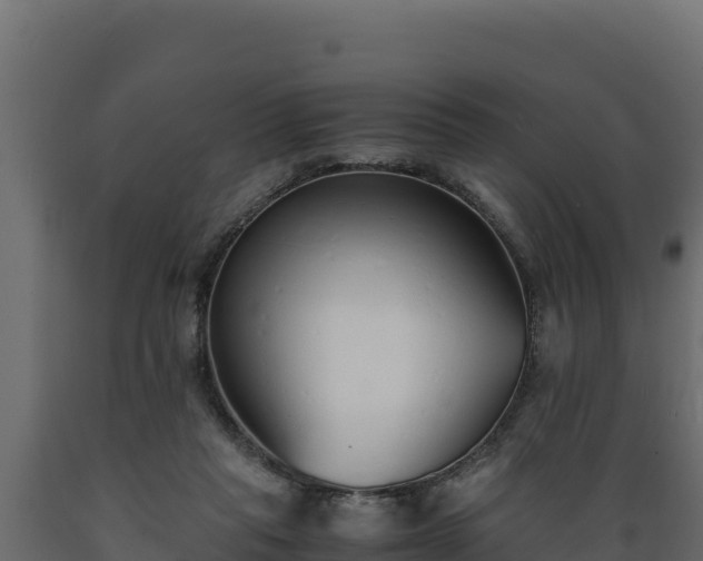 X0000089930261200707061045