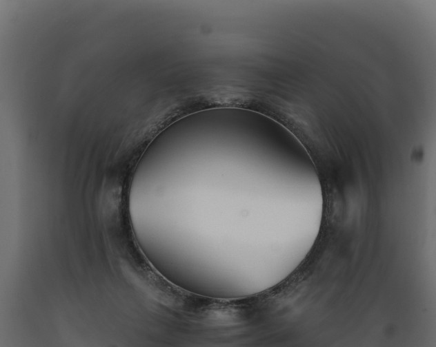 X0000089930263200707061045