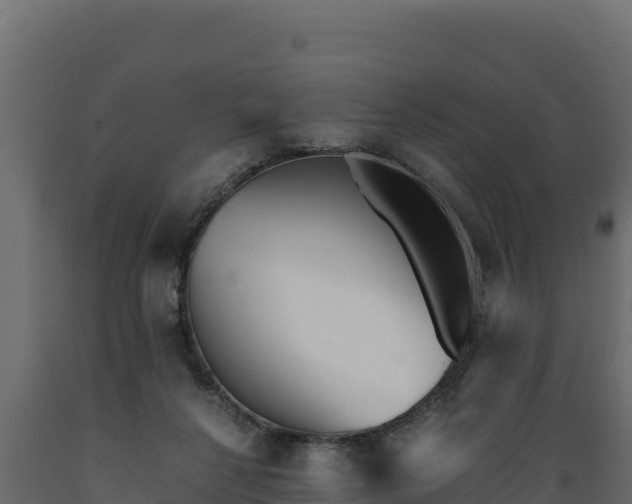 X0000089930264200707061045