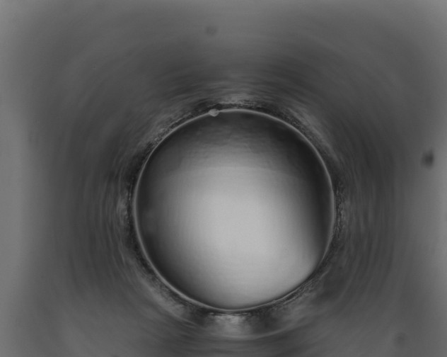 X0000089930265200707061045