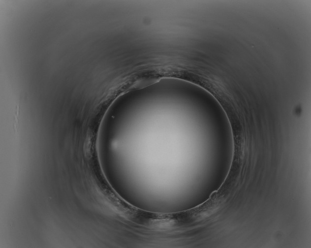 X0000089930266200707061045