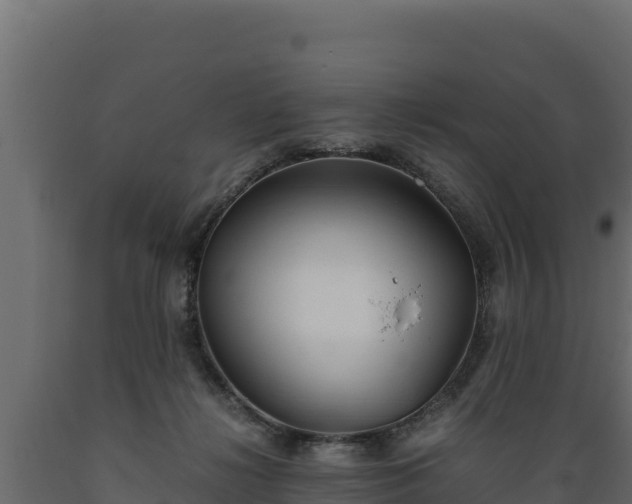 X0000089930268200707061045