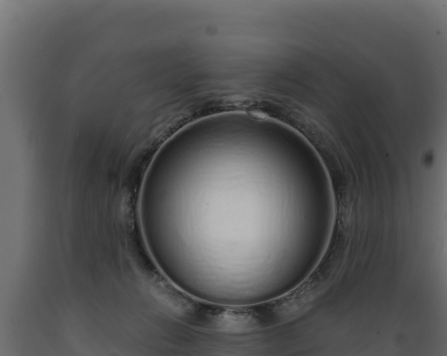 X0000089930270200707061045