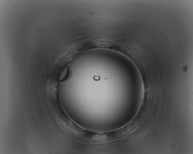 X0000089930271200707061045