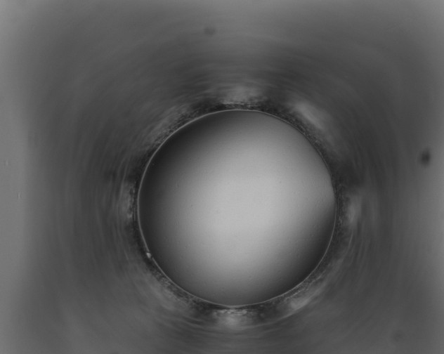 X0000089930273200707061045