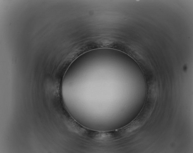 X0000089930274200707061045