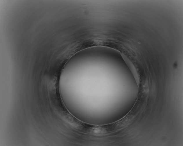 X0000089930275200707061045