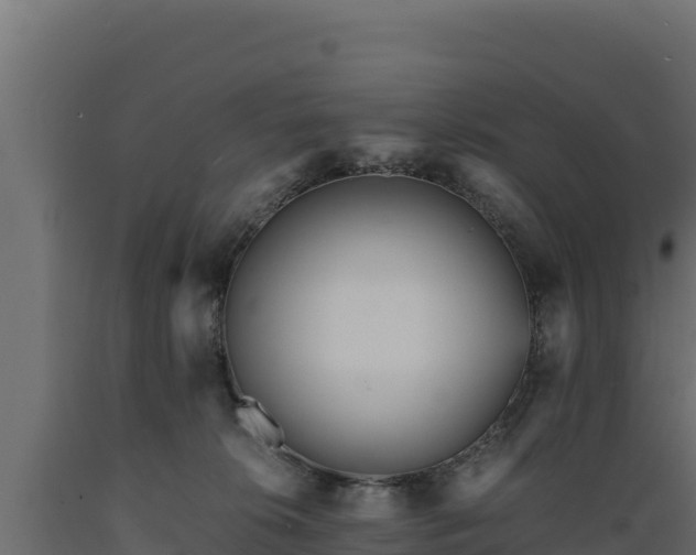 X0000089930276200707061045