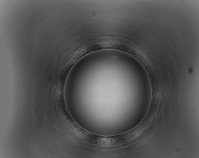 X0000089930277200707061045