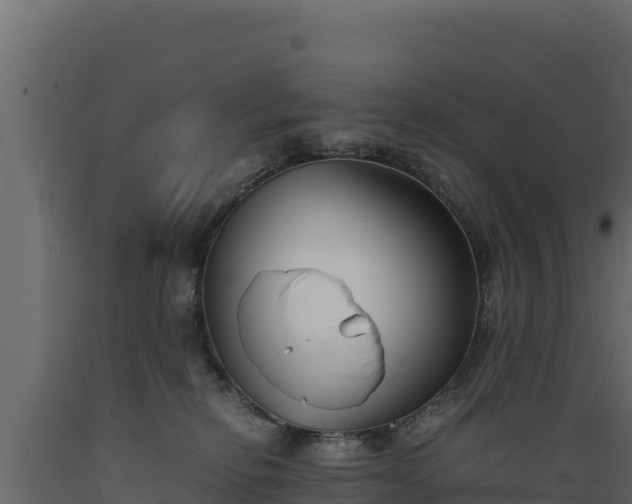 X0000089930278200707061045