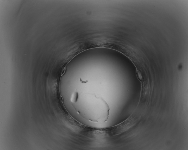 X0000089930279200707061045