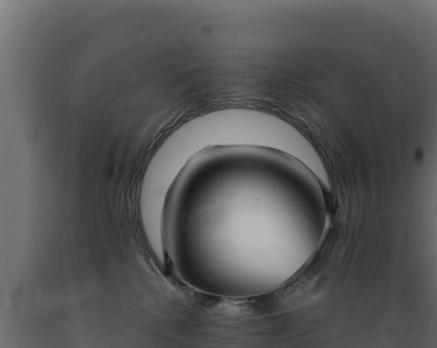 X0000089930280200707061045