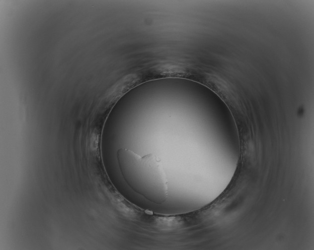 X0000089930281200707061046