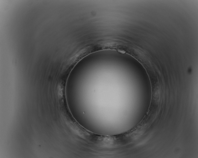 X0000089930282200707061046