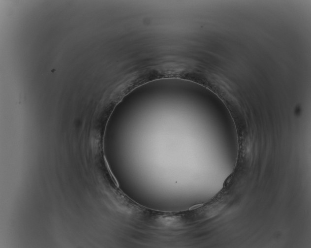 X0000089930283200707061046