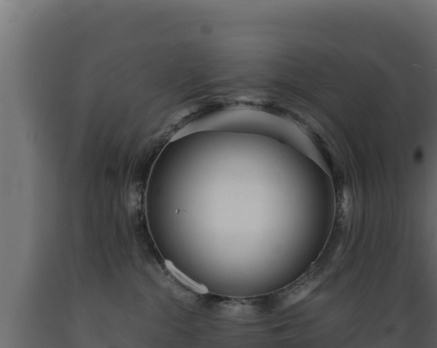 X0000089930284200707061046