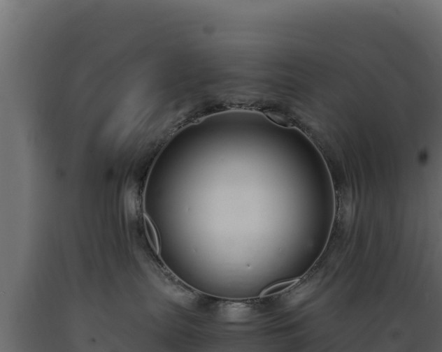 X0000089930287200707061046