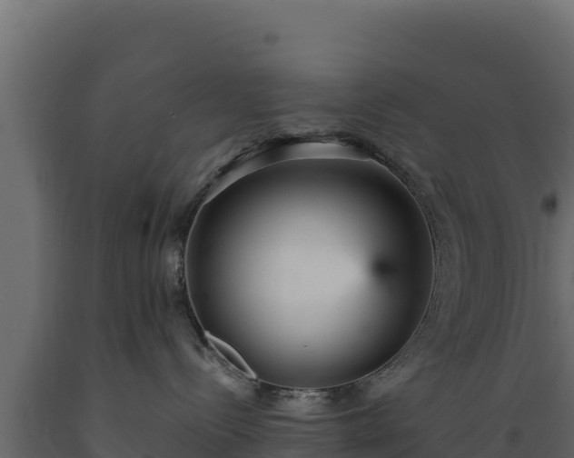 X0000089930288200707061046