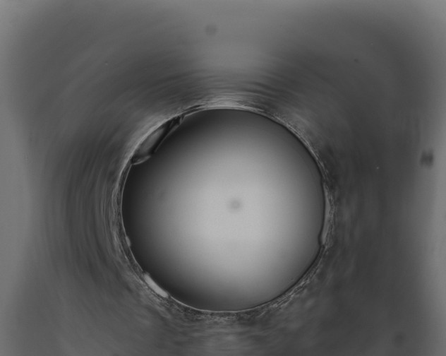 X0000089930289200707061045