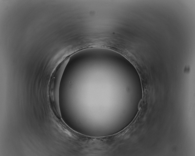 X0000089930290200707061045